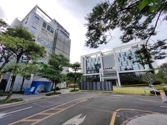 中服M码真皮女装